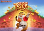 Baixar e instalar o aplicativo Lot of Money Tiger